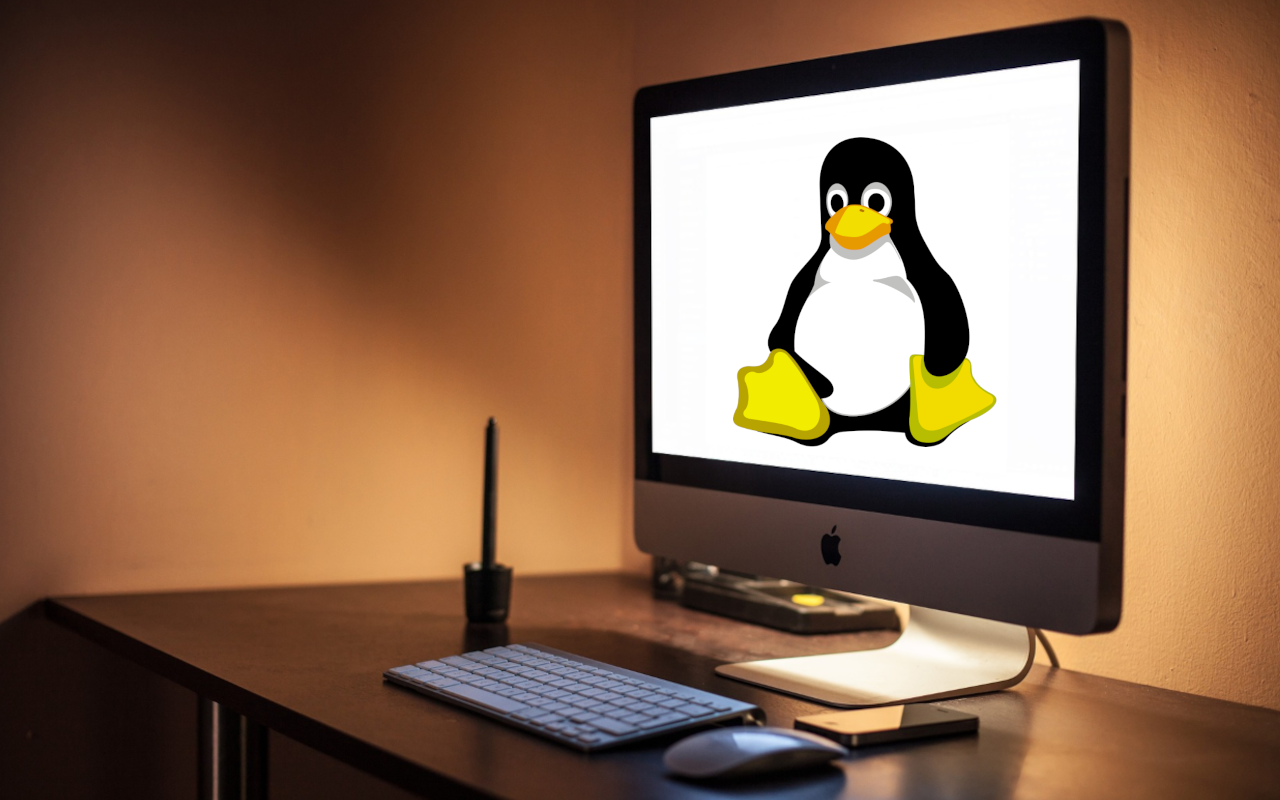 Solve a mouse movement issue on Linux